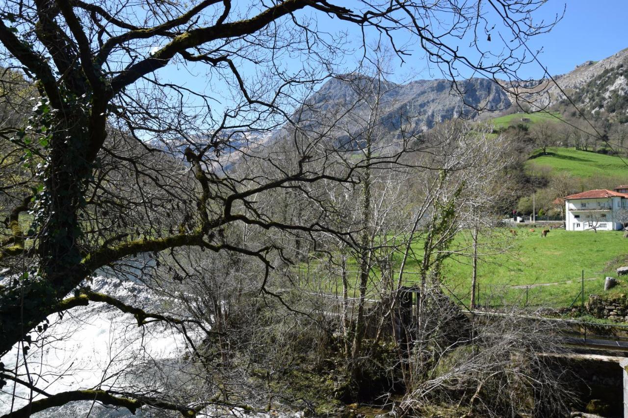 Viv Tur La Quintana I Appartement Arredondo Buitenkant foto